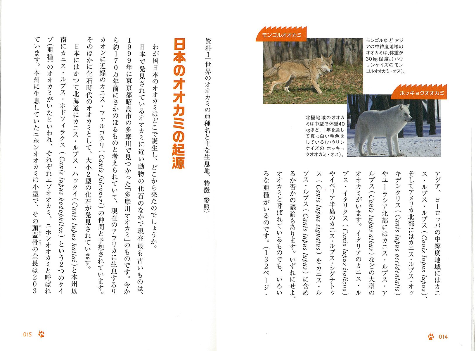 オオカミの謎 オオカミ復活で 生態系は変わる 桑原 康生 本 通販 Amazon