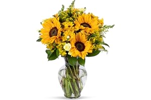 BENCHMARK BOUQUETS - Rays of Sunshine (Glass Vase Included), Next-Day Delivery, Gift Fresh Flowers for Birthday, Anniversary,