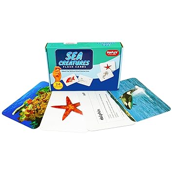 Sea Creatures Krazy Early Learning Educational Flash Card for preschooler (3 Month to 6 Years)