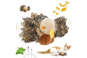 Gigwi Interactive Flapping Cat Toys Catnip, Electronic Flappy Toys Motion Activated, Automatic Cat Toys for Indoor Cats, USB Rechargeable Cat Enrichment Toy for Hunting and Kicker, Bird Sparrow