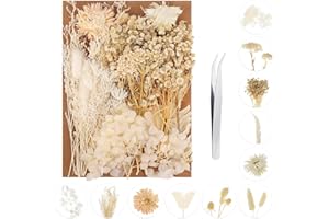 QSCFKL Dried Pressed Flowers, Real Dried Flowers, Natural Pressed Flowers Decorative Dried Flowers for DIY Candle Resin Jewelry Nail Pendant Crafts Making (White Series)