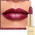 Oulac Wine Red Lipstick for Women with Metallic 3D Shine Lightweight Hydrating Formula, High Impact Lip Color, Vegan Beauty, Full Coverage Lip Makeup, Christmas Gifts for Women, One Last Kiss (14)