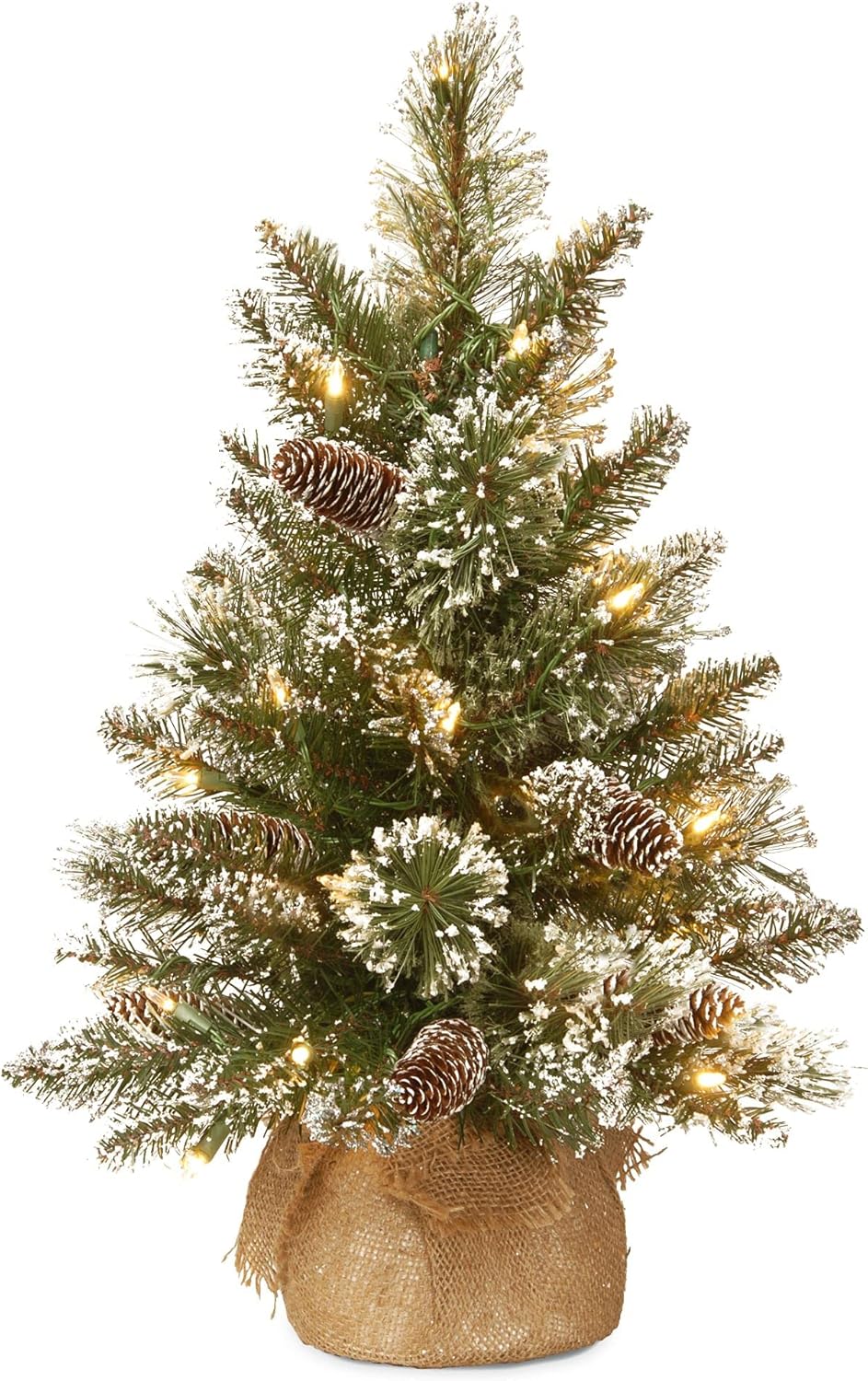 Trees - National Tree Company Pre-lit Artificial Mini Christmas Tree | Includes Small LED Lights, White Tipped, Glitter Branches Cones and Cloth Bag Base | Glittery Bristle Pine-2, 2 Foot, Green