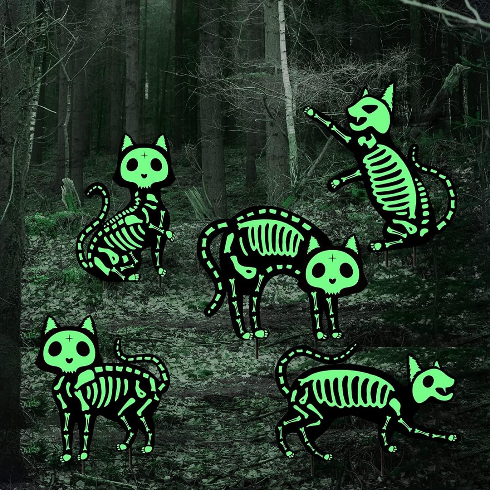 Halloween Decorations Outdoor Yard Signs - Scary Glow in the Dark Black Cat Skeleton Lawn Signs with Stakes for Halloween Front Yard Lawn Garden Outdoor Decorations, 5 Pack