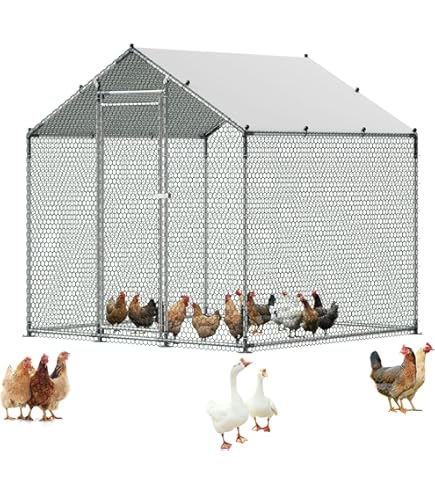 Lot De 2 Cages Sphériques Pour Poulets/Petits Animaux - 20cm Et 30cm, Blanc/Jaune - Pour Jardin, Ferme - Sécurité Extérieure - 8