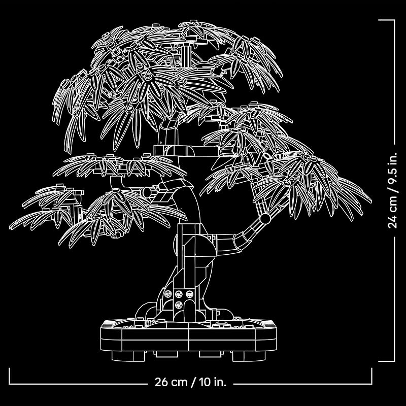 Botanicals Bonsaï d’érable Rouge du Japon 10348