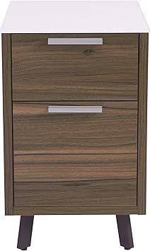Amazon Com Euro Style Hart Walnut Melamine 2 Drawer Mobile File