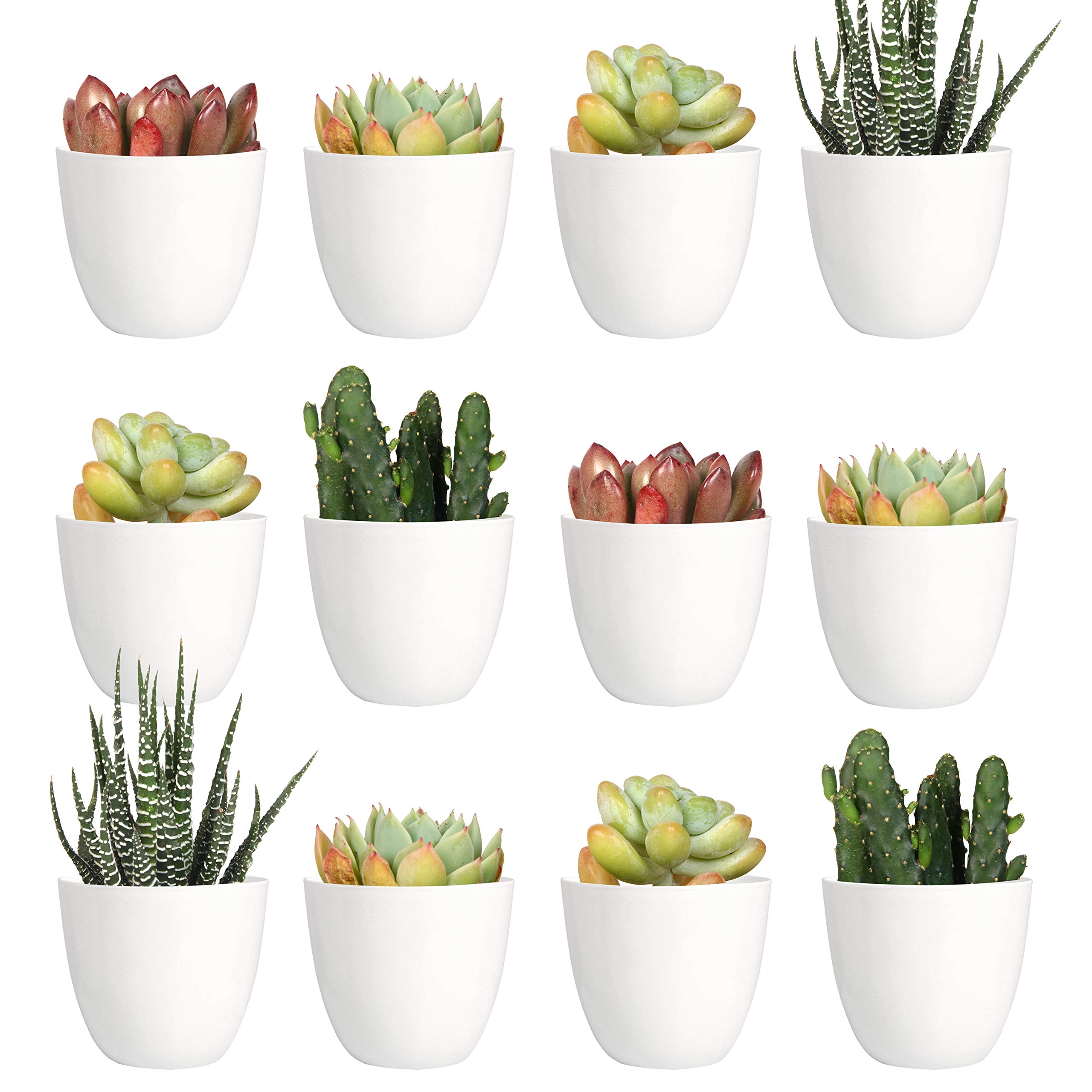 Youngever 24 Pack 5CM Mini Plastic Planters, Indoor Flower Plant Pots, White Gardening Pot with Drainage - NO Plant Included (Modern)