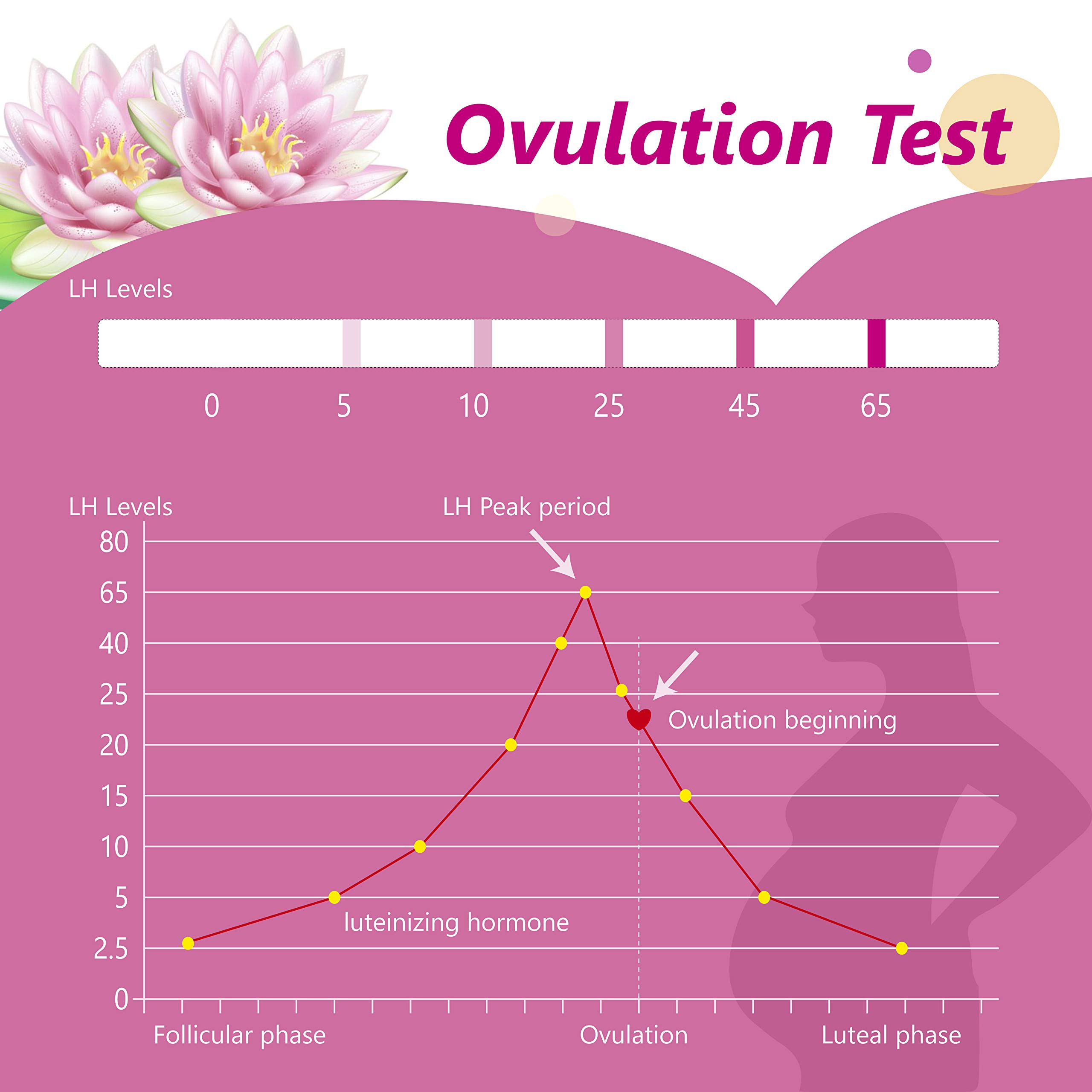 Aicare Ovulation and Pregnancy Test Strip Kit, 52 LH Test Strip + 22 HCG Test Strip, Advance Ovulation Kits First Response Pregnancy Test, Fertility Test for Trying Conceive Couples