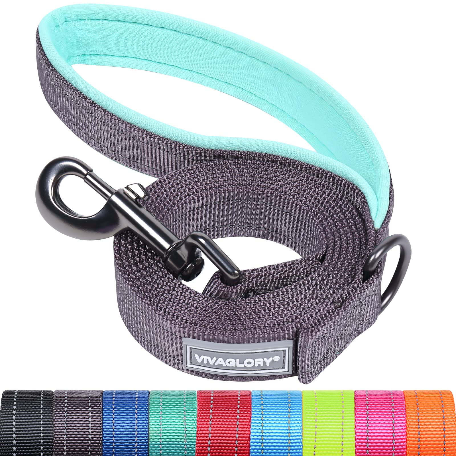 VIVAGLORY Dog Lead Dailyx Dog Leash, Lead with Soft Padded Handle for Training & Walking, Heavy Duty & Double Layer Nylon for Pet Puppy, 120 x 2.5cm, Grey