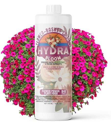 Grotek Monster Bloom, Flower Enhancer (20 g) : Amazon.ca: Patio
