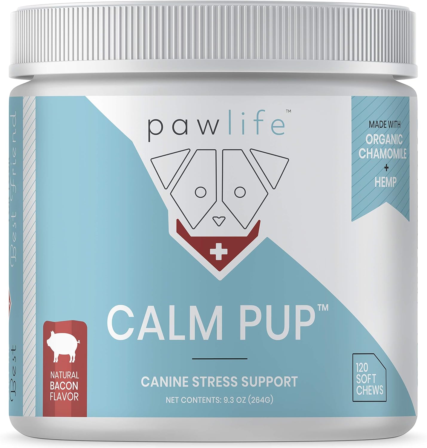 greyhound rescue dogs for adoption