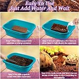 Riare Natural Coconut Fiber Substrate 1 Pack Terrarium Bedding view 4