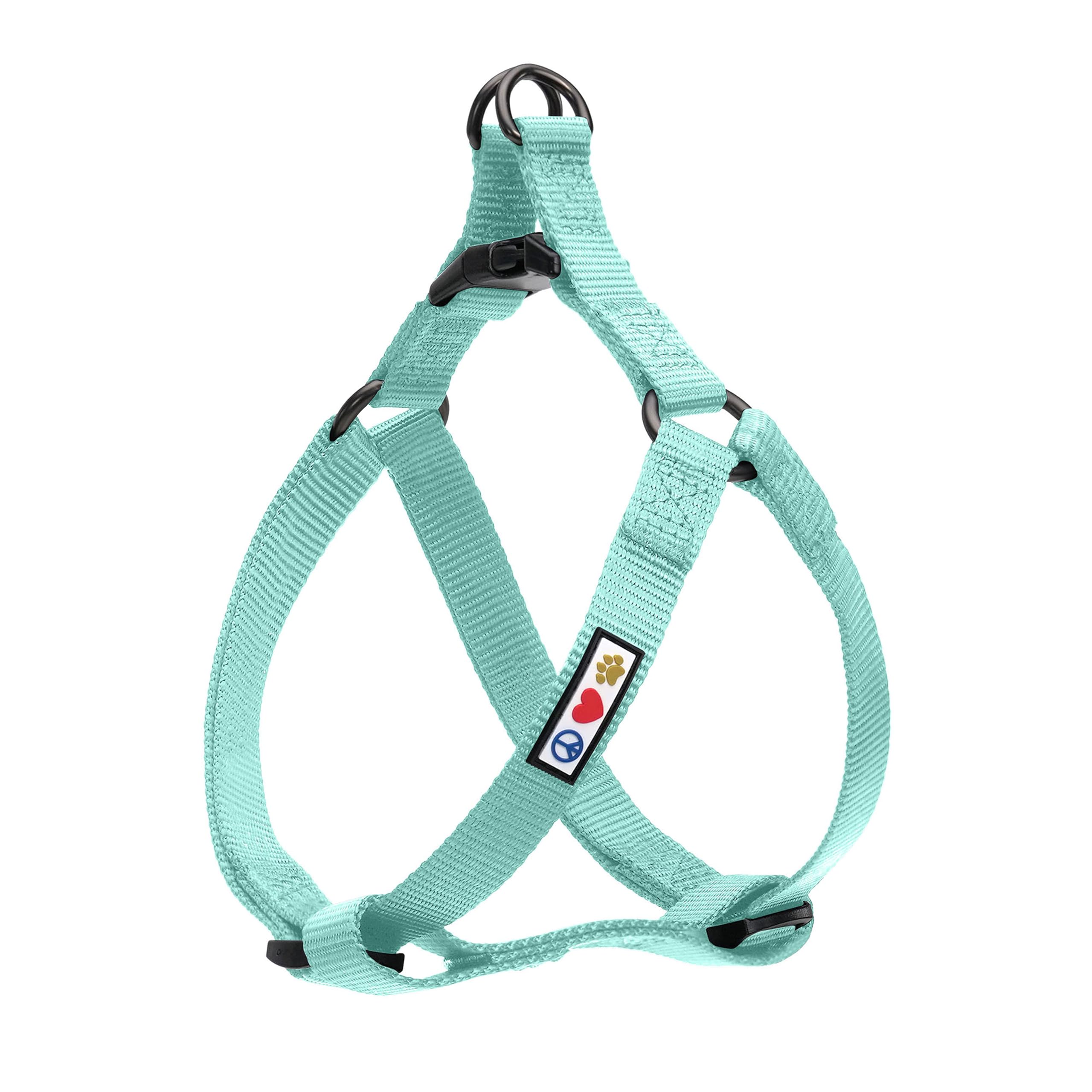 Pawtitas Dog Harness - Teal, Small, Solid, Adjustable, Illuminous, Durable โ image 1
