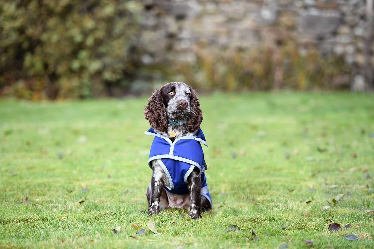 Woofmasta Deluxe Dog Coat, 25 cm Size, Navy Blue, 20 cm - Image 3