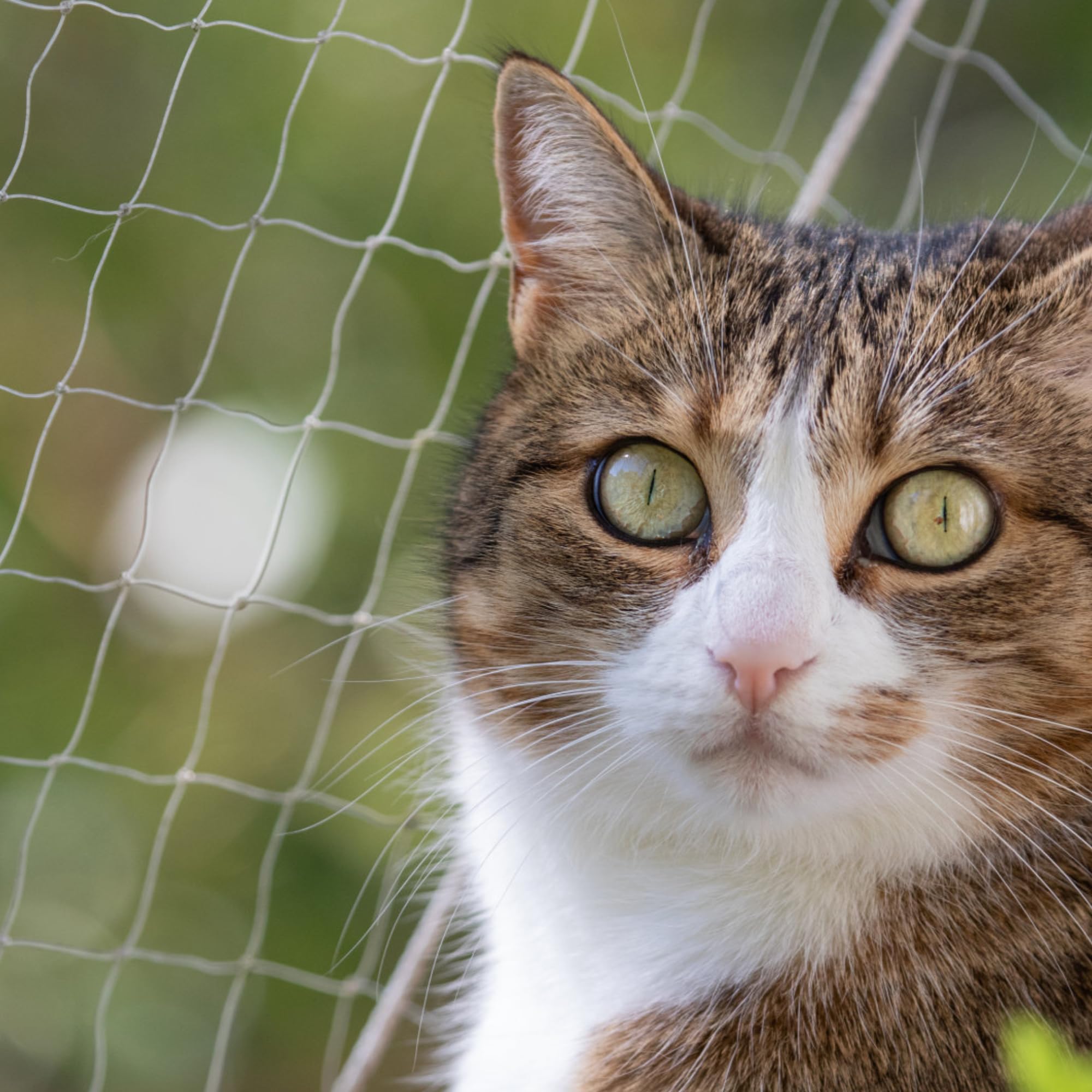 Pet Prime Cat Safety Net for Balcony Window Transparent Protective Net for Cats Pet Anti-escape Net Invisibel Safety Fence Include Fixing Set (4x3m)