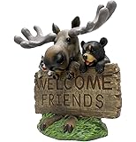 Colored cement patio