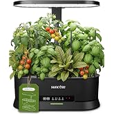 SUNCOZE Hydroponics Growing System, Smart Panel, 5L Removable Tank, Black | Dimmable Full Spectrum Grow Light, 12 Pods Indoor Herb Garden, 21.6 In Adjustable Height, Timer &amp; Clock Function, Quiet Pump