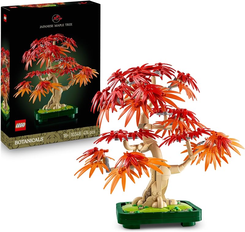 Botanicals Japanischer Roter Ahorn – Bonsai-Baum 10348