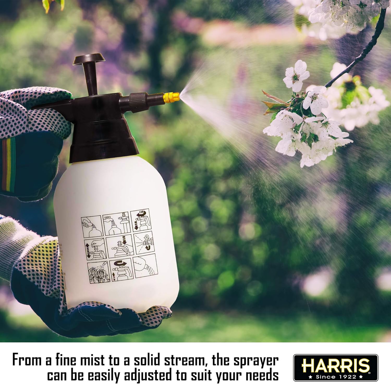 HARRIS Pump Sprayer for Home, Garden and Auto, 1.5L : Garden & Outdoor