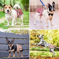 Pantula Washable Dog Diapers Female