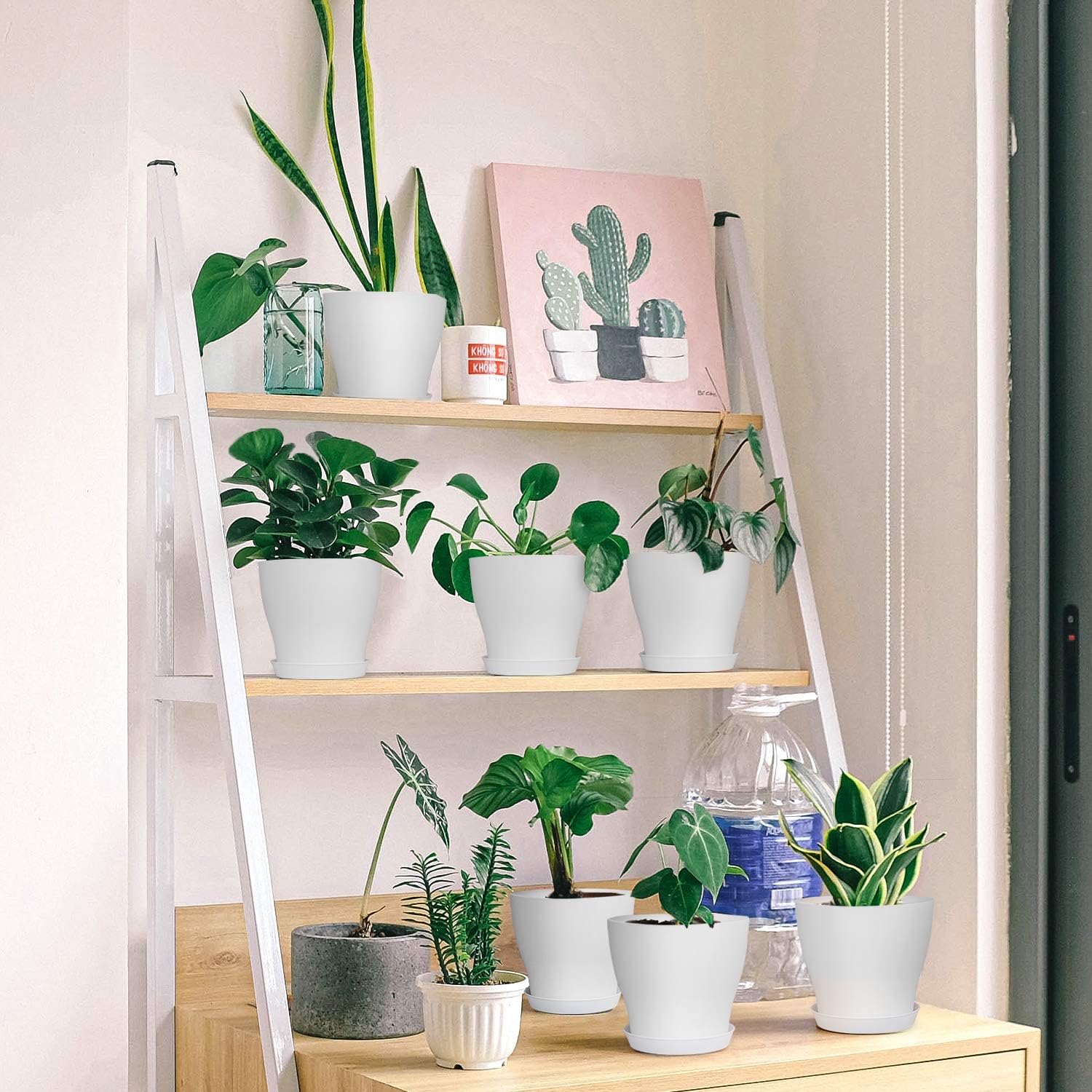 HOMENOTE Plant Pots, Set of 15 Plastic Planters with Multiple Drainage Holes and Tray 6 inch Indoor Plant Pot for All Home Garden Flowers Succulents, Cream White : Kitchen & Dining