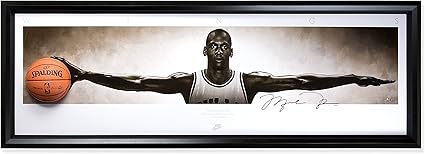 spalding michael jordan