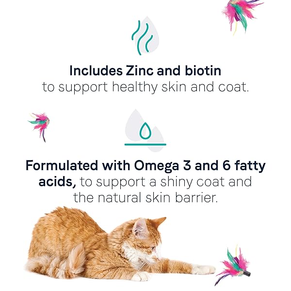 CANIDAE GOODNESS FOR SKIN AND COAT, PREMIUM ADULT DRY CAT FOOD WITH REAL SALMON, 5 LBS.