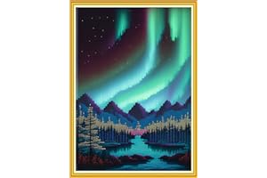 Redxing Stamped Cross Stitch Kits Embroidery kit for Beginners Adults Full Range of Embroidery Patterns Starter Kits DIY Printed Cross Stitch Kits Needlepoint Kits 11CT-Auroral Scenery 15.7x19.7 inch