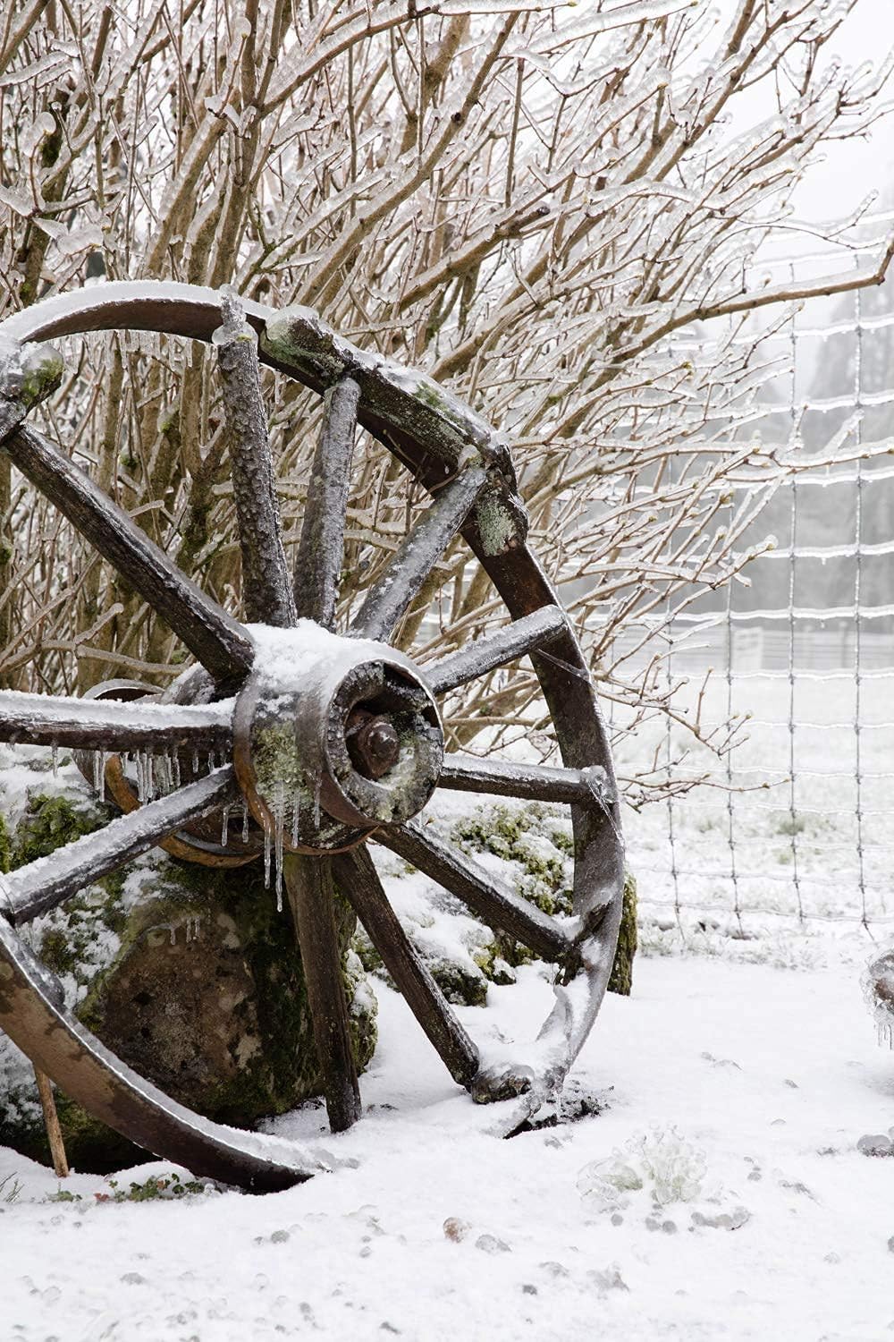 Photographs - Antique Wagon Wheel Photo Unframed Icy Fence Seasonal Art Print Rustic Winter Scene Farmhouse Decor Vintage Farm Equipment Picture Frozen Country