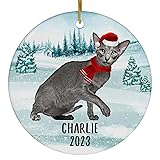 Santa Hat and Scarf Welcome Winter Blue Oriental