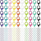Multicolor Hard Plastic Clips Plastic Lobster Claw Clasps and Open Jump Rings, Cute Lanyard Snap Hooks for Key Chain Ring Chain Clasp DIY Handmade Crafts(100 Pieces)