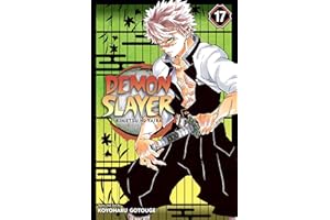 Demon Slayer: Kimetsu no Yaiba, Vol. 17