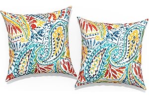TWLEAR Outdoor Throw Pillow Covers 18”x18”, Decorative Pillow Covers for Patio Furniture, Modern Cushion Cases for Garden Couch Home Sofa Bed Office Chair, Pack of 2, Paisley Multi