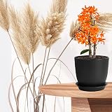 PROFIKLA Plastic Plant Pots Set 20cm 18cm 16cm with Drainage Holes Saucers view 6