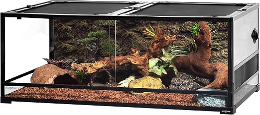 reptizoo reptile glass terrarium