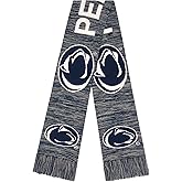 foco NCAA College Wordmark Colorblend Big Logo Scarf