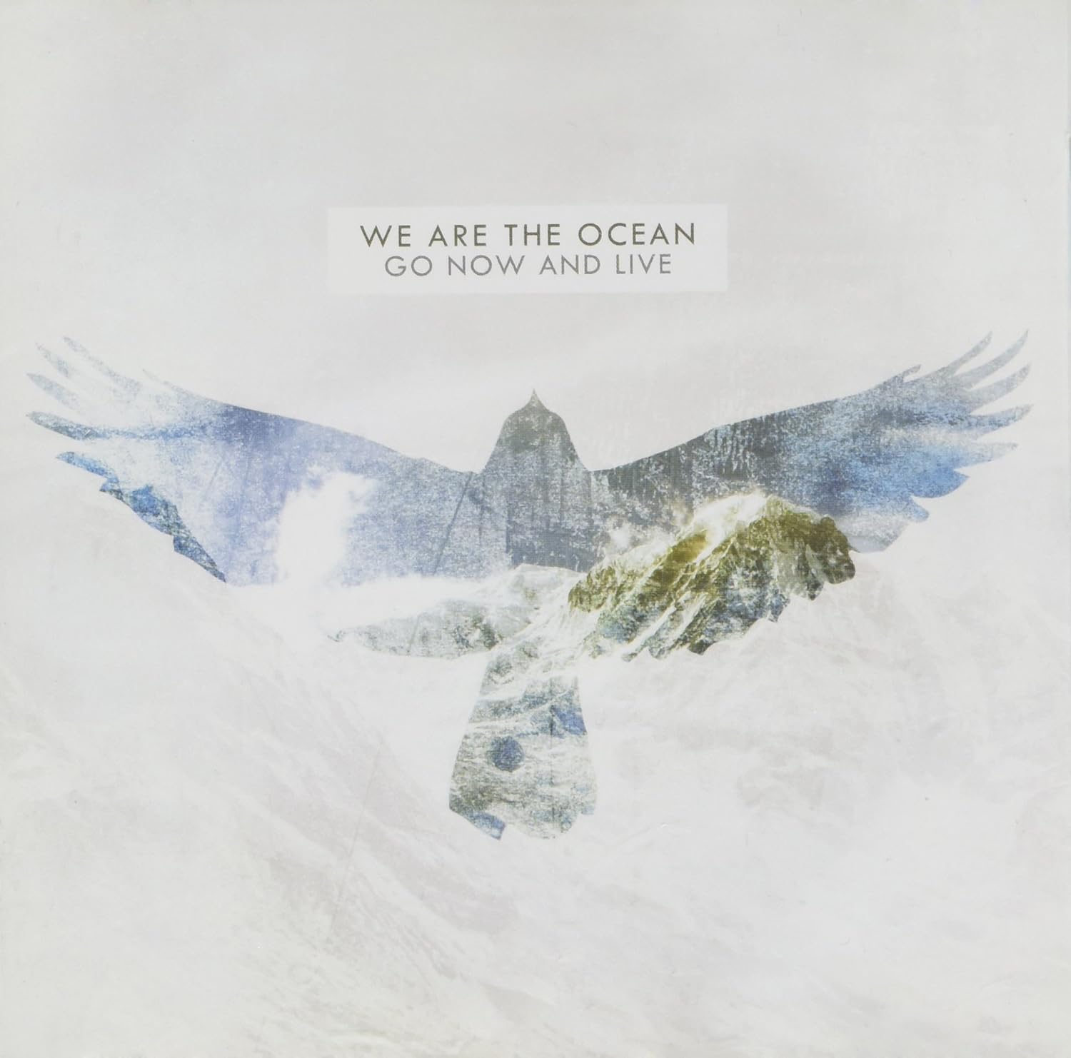 Download We Are The Ocean Go Now Live Amazon Com Music For Android Wallpaper We Are The Ocean Go Now Live Amazon Com Music Free