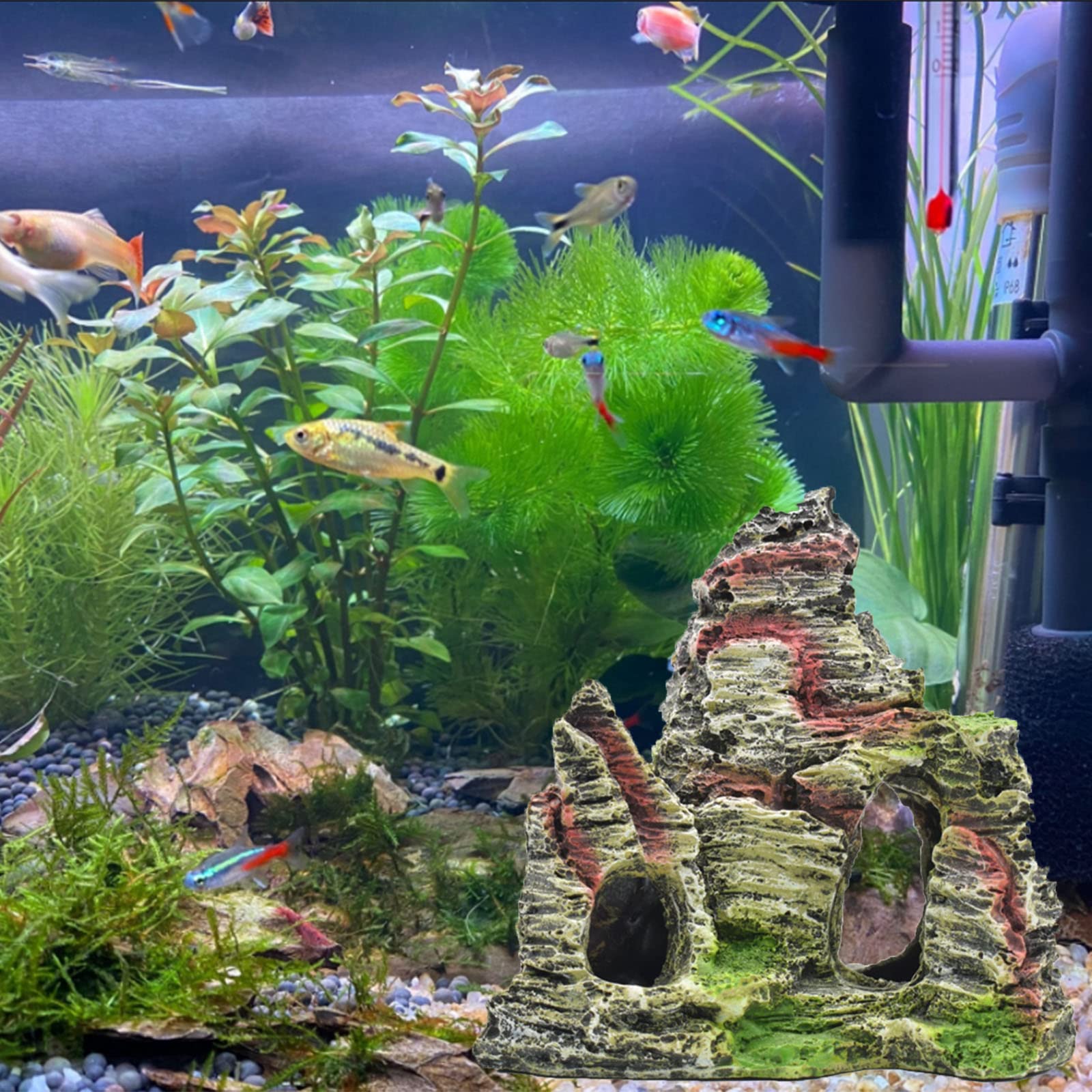 View 5