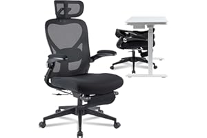 FLEXISPOT Foldex Ergonomic Office Chair, Folding Chair for Small Spaces with Lumbar Support, Flip-up Armrests, 3D Headrest, Desk Chairs with Footrest for Work,Video Game (Foam Black)