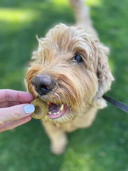 PETERRA KITCHEN DOG TREATS BAKING MIX, THUMBPRINT COOKIES HOMEMADE PET TREATS, PLANT-BASED, ORGANIC, VEGAN, 6OZ