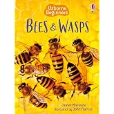 Bees and Wasps (Usborne Beginners)