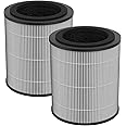 JF100 Replacement Filter, 3-in-1 H13 True HEPA and High-Efficiency Activated Carbon Filter, 2-Pack