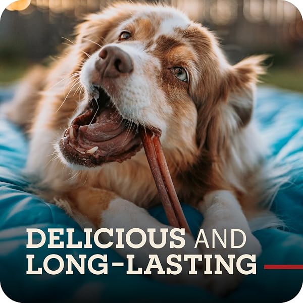REDBARN PET PRODUCTS ALL NATURAL 5″-8″ BRAIDED BULLY STICKS FOR SMALL & LARGE DOGS – HEALTHY LONG LASTING BEEF CHEWS VARIETY PARTY PACK – SINGLE INGREDIENT LOW ODOR RAWHIDE FREE – 8 OZ BAG