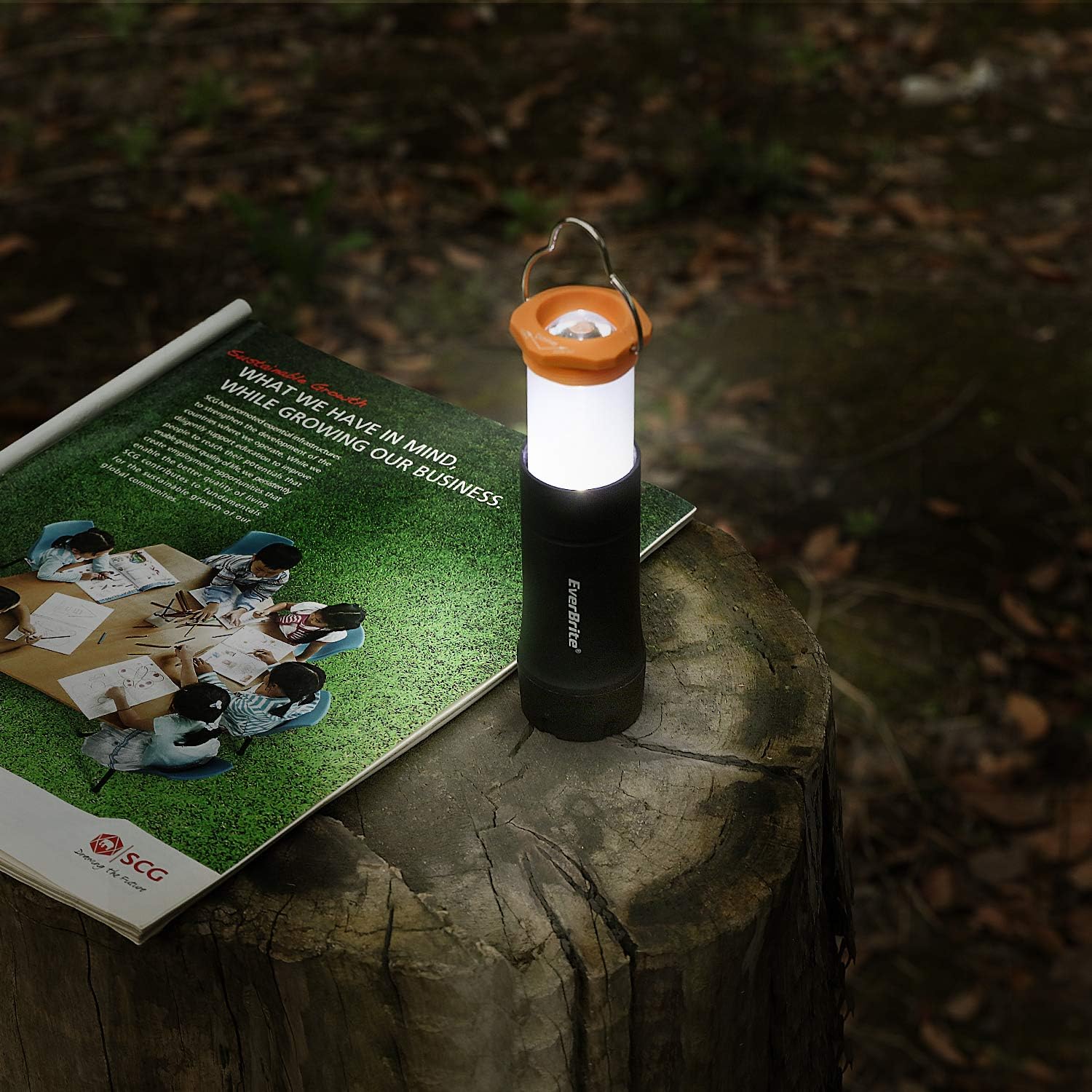 EverBrite 2-in-1 Mini Lanterns and Flashlights with 3 Modes, 2 Pack Portable Outdoor LED Zoomable Torches, AAA Batteries Included - for Hurricane Supplie Camping, Hiking, Night Walking, Emergency - - 