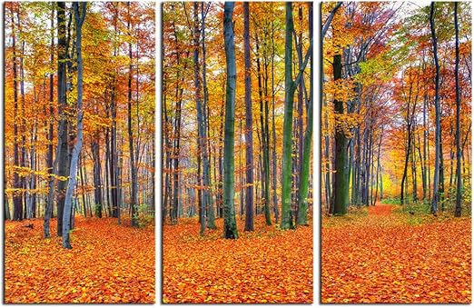 Amazon Com Live Art Decor Autumn Forest Canvas Wall Art Amazing Fall Woods Landscape Picture Photo Print On Canvas Home Wall Decor Framed 3 Panel Art Print 36 W X 24 H Overall