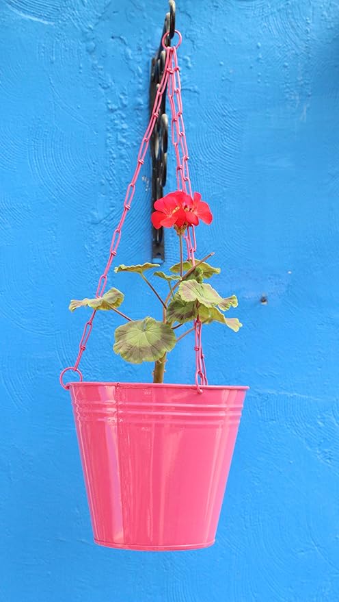 Green Gardenia GI-Metal Hanging Pot (Pink)