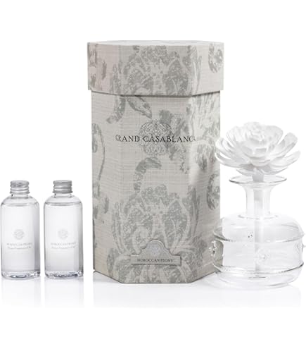 Amazon.com: Zodax Seychelles Porcelain Scented Diffuser Square