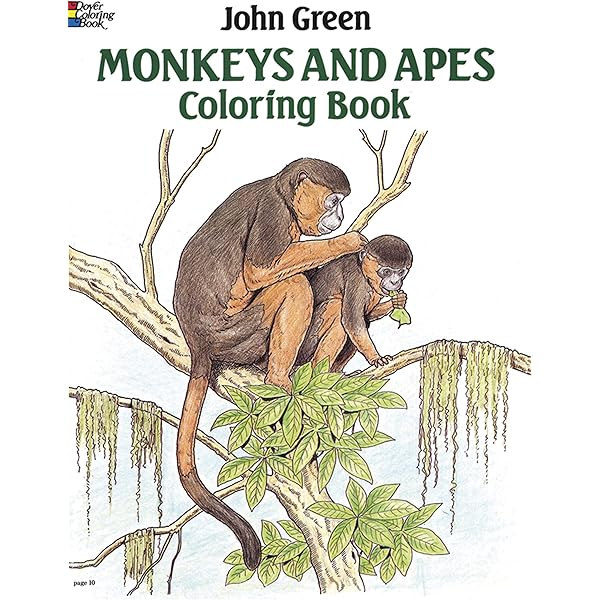 Primates of the World: An Illustrated Guide: Petter, Jean-Jacques