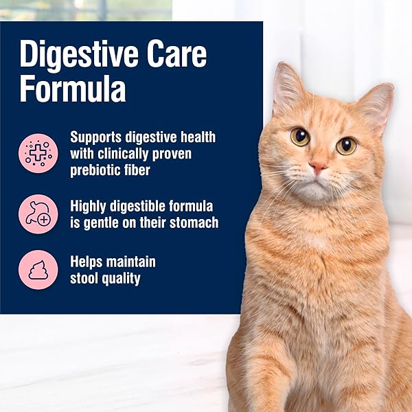 BLUE BUFFALO TRUE SOLUTIONS DIGESTIVE CARE NATURAL DRY CAT FOOD FOR ADULT CATS, CHICKEN, 11-LB. BAG